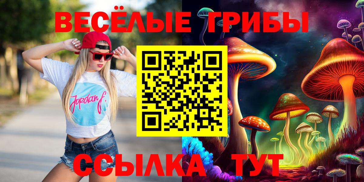 Галлюциногенные грибы прущие грибы  Вход с VPN  Саратов  Псилоцибиновые грибы ЛСД 