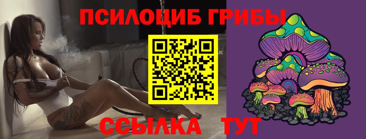 Псилоцибиновые грибы ЛСД Саратов