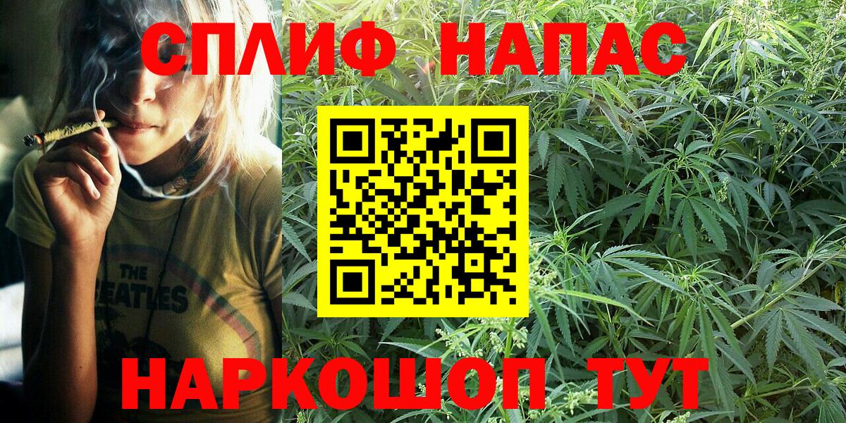 Бошки марихуана SATIVA & INDICA Саратов